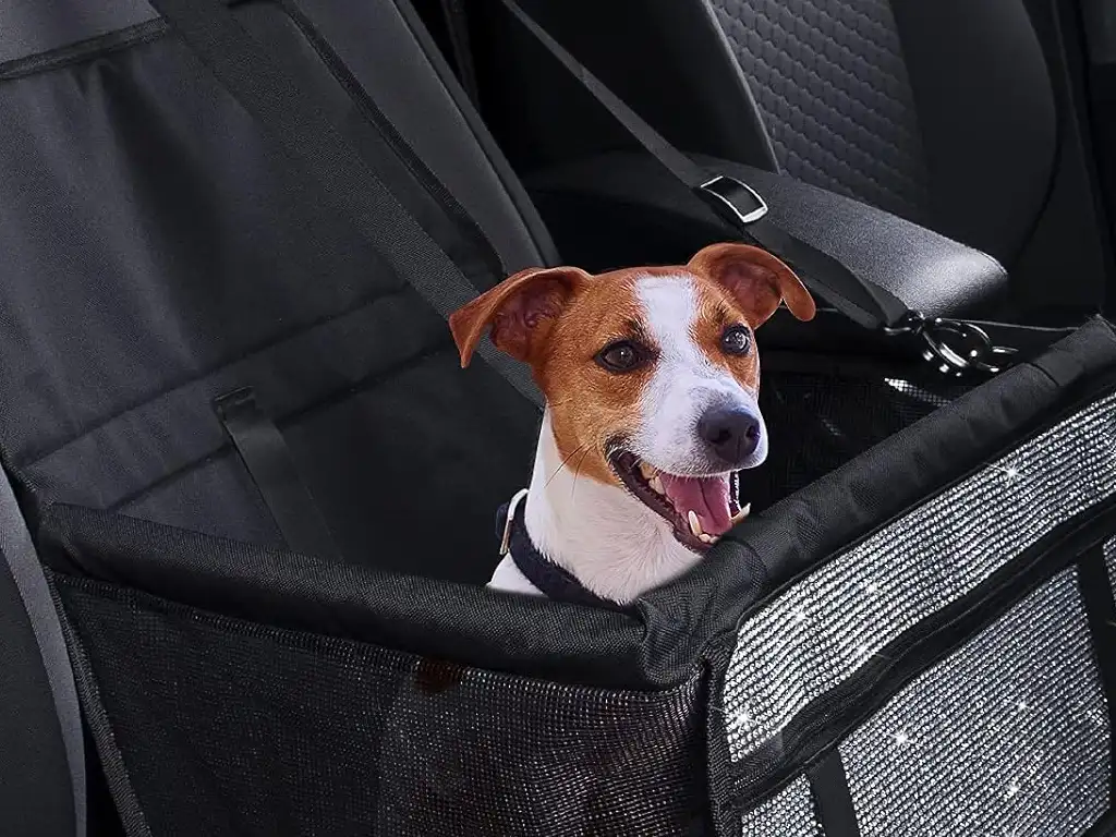 transport vtc d'animaux